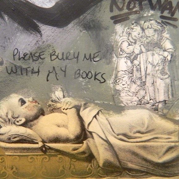 Meet your Posher, Robin - Picture 1 of 1